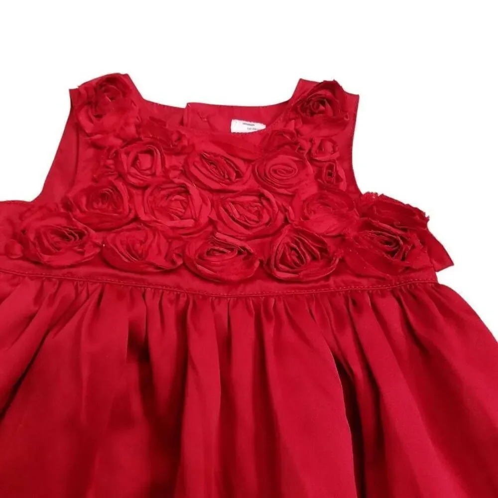 Carter's special occasion dress 9 mo